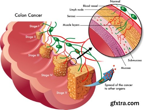Medical Illustrations #2, 25xEPS