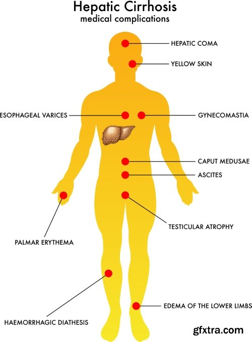 Medical Illustrations #2, 25xEPS