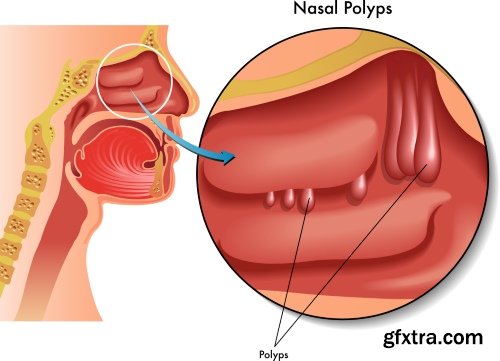 Medical Illustrations #2, 25xEPS