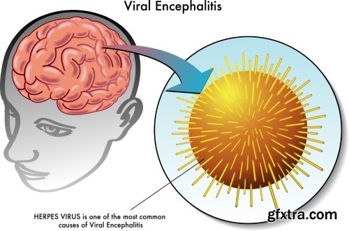 Medical Illustrations #2, 25xEPS