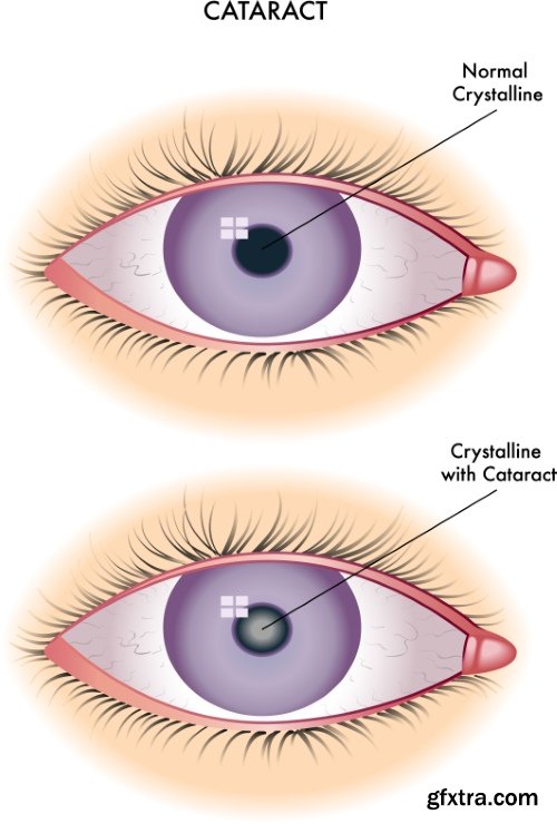 Medical Illustrations #2, 25xEPS