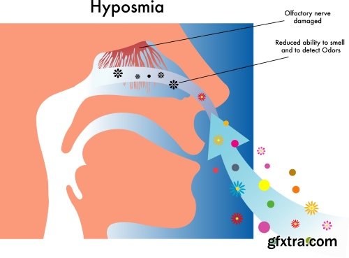 Medical Illustrations #2, 25xEPS