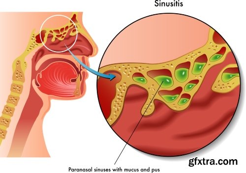 Medical Illustrations #2, 25xEPS