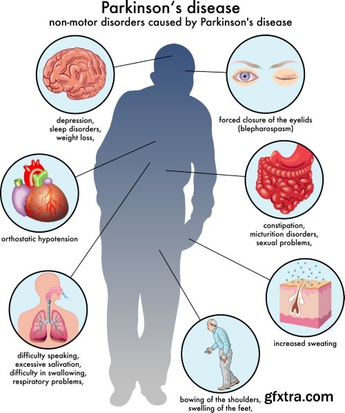 Medical Illustrations #2, 25xEPS