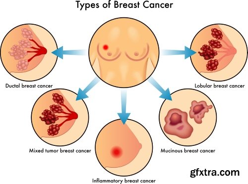 Medical Illustrations #2, 25xEPS