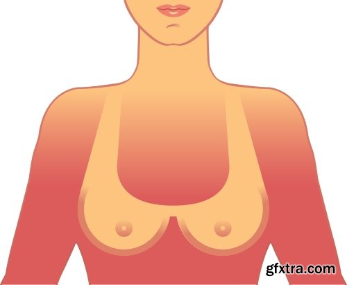 Medical Illustrations #2, 25xEPS