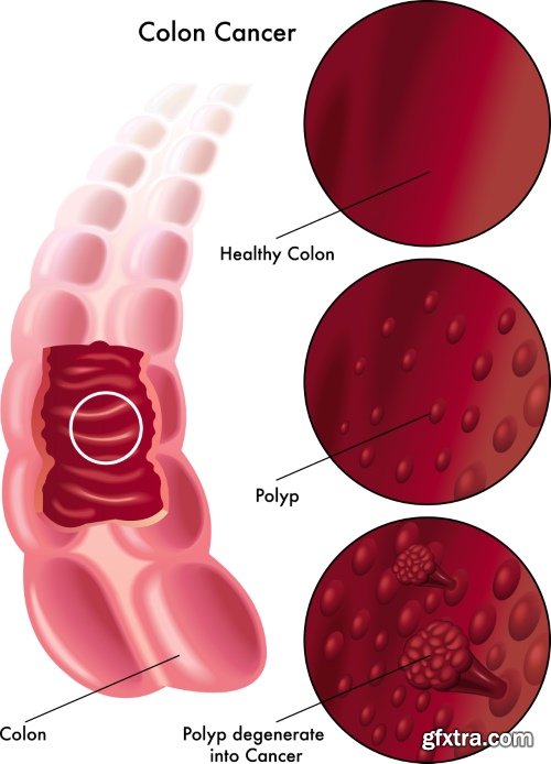 Medical Illustrations #2, 25xEPS