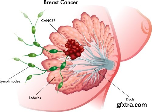Medical Illustrations #2, 25xEPS