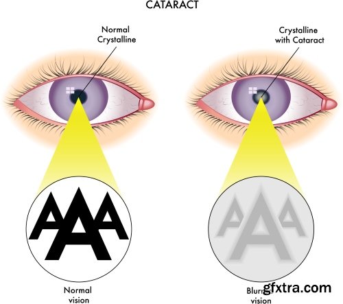 Medical Illustrations #2, 25xEPS