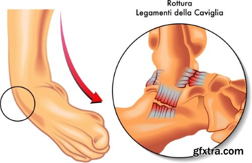 Medical Vectors #1, 25xEPS