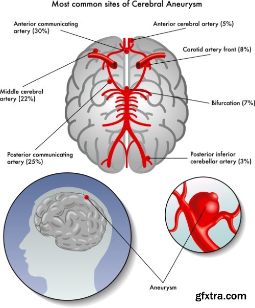 Medical Vectors #1, 25xEPS
