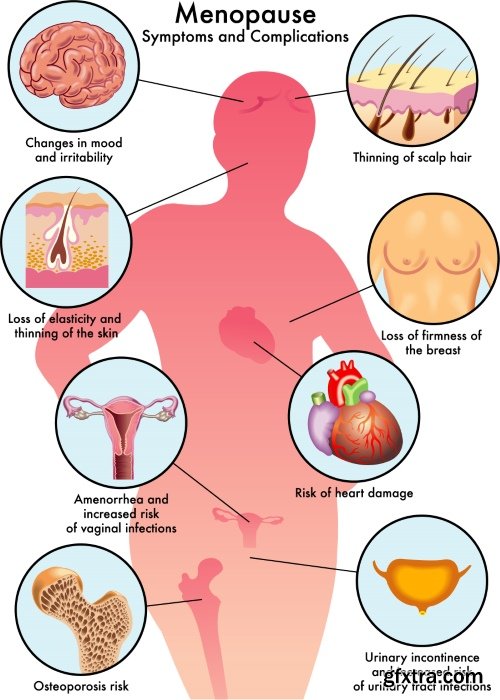Medical Vectors #1, 25xEPS
