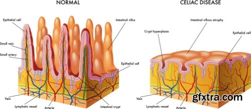 Medical Vectors #1, 25xEPS