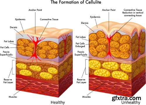 Medical Vectors #1, 25xEPS