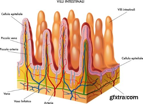Medical Vectors #6, 25xEPS