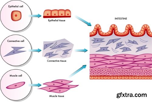 Medical Vectors #6, 25xEPS