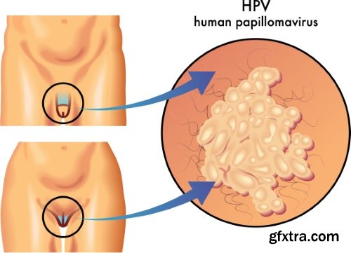 Medical Vectors #6, 25xEPS