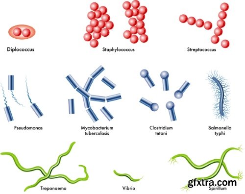 Medical Vectors #6, 25xEPS
