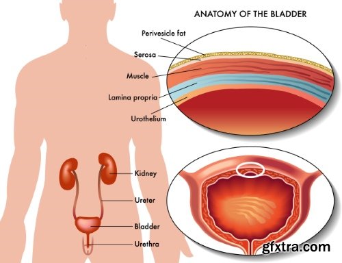 Medical Vectors #6, 25xEPS