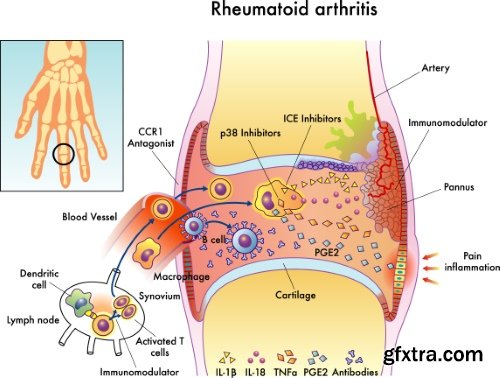 Medical Vectors #6, 25xEPS