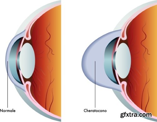 Medical Vectors #6, 25xEPS