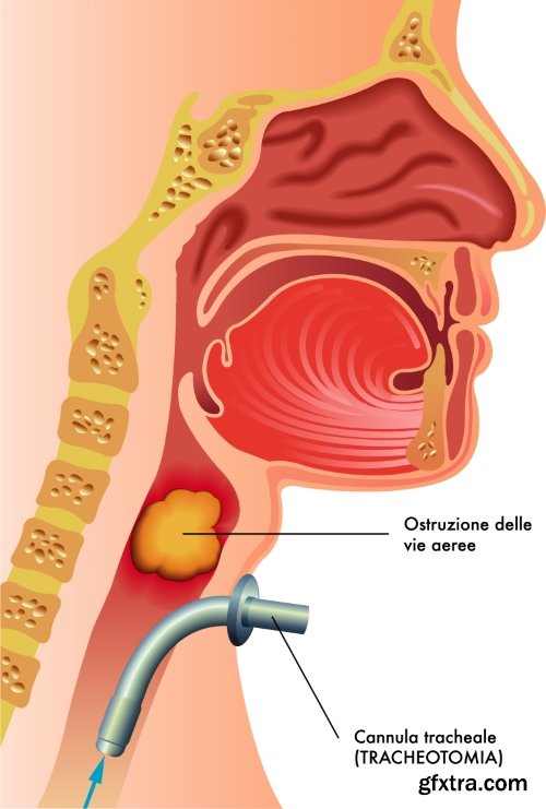 Medical Vectors #6, 25xEPS