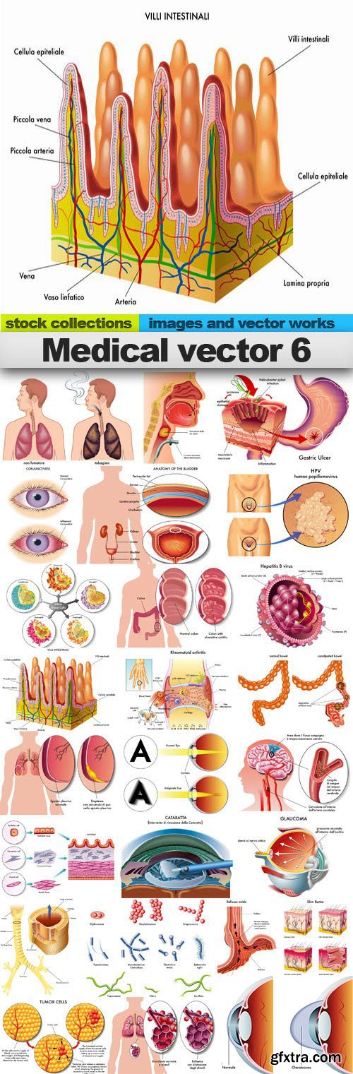 Medical Vectors #6, 25xEPS