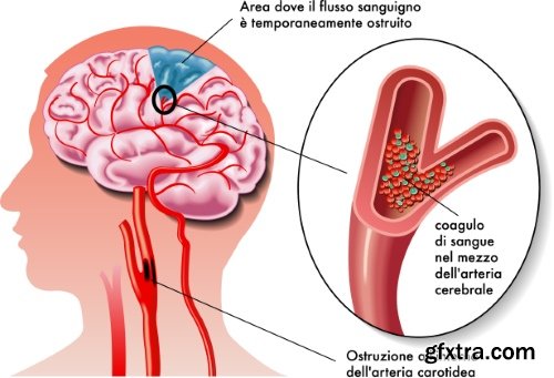 Medical Vectors #6, 25xEPS