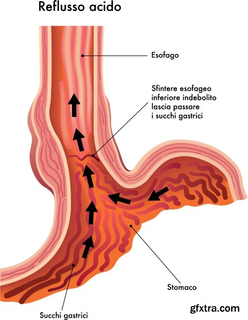 Medical Vectors #6, 25xEPS