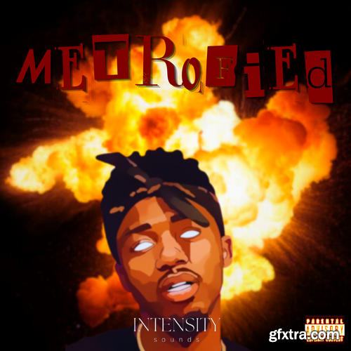 Intensity Sounds Metrofied Intensity Sounds Metrofied