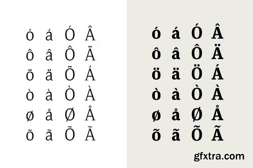 CreativeMarket - Qubeik Nue - A Premium Serif Font
