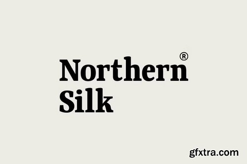 CreativeMarket - Qubeik Nue - A Premium Serif Font