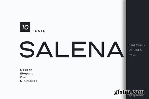 Salena Minimalist Modern Sans Serif Font
