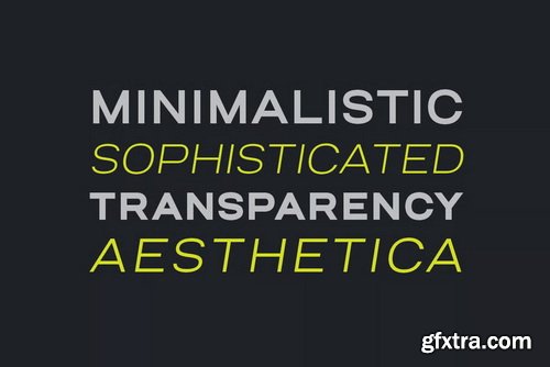 Salena Minimalist Modern Sans Serif Font