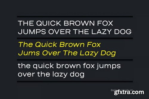 Salena Minimalist Modern Sans Serif Font