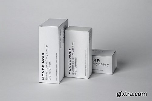 Salena Minimalist Modern Sans Serif Font