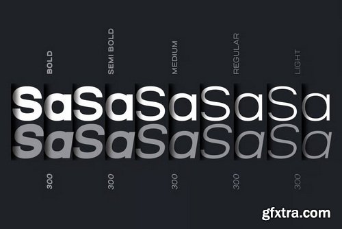 Salena Minimalist Modern Sans Serif Font