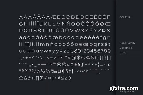 Salena Minimalist Modern Sans Serif Font