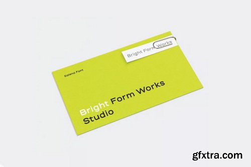 Salena Minimalist Modern Sans Serif Font