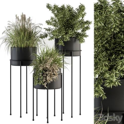 '3dsky Pro - indoor Plant Set 370 - Tree and Plant Set Stand pot'