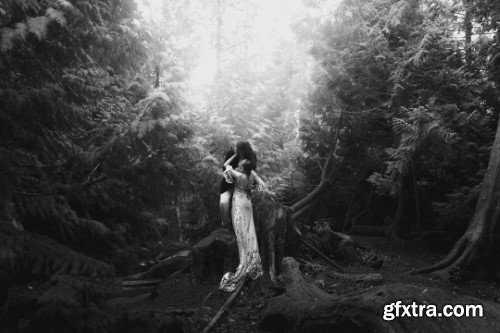 Legacy Presets - Noir