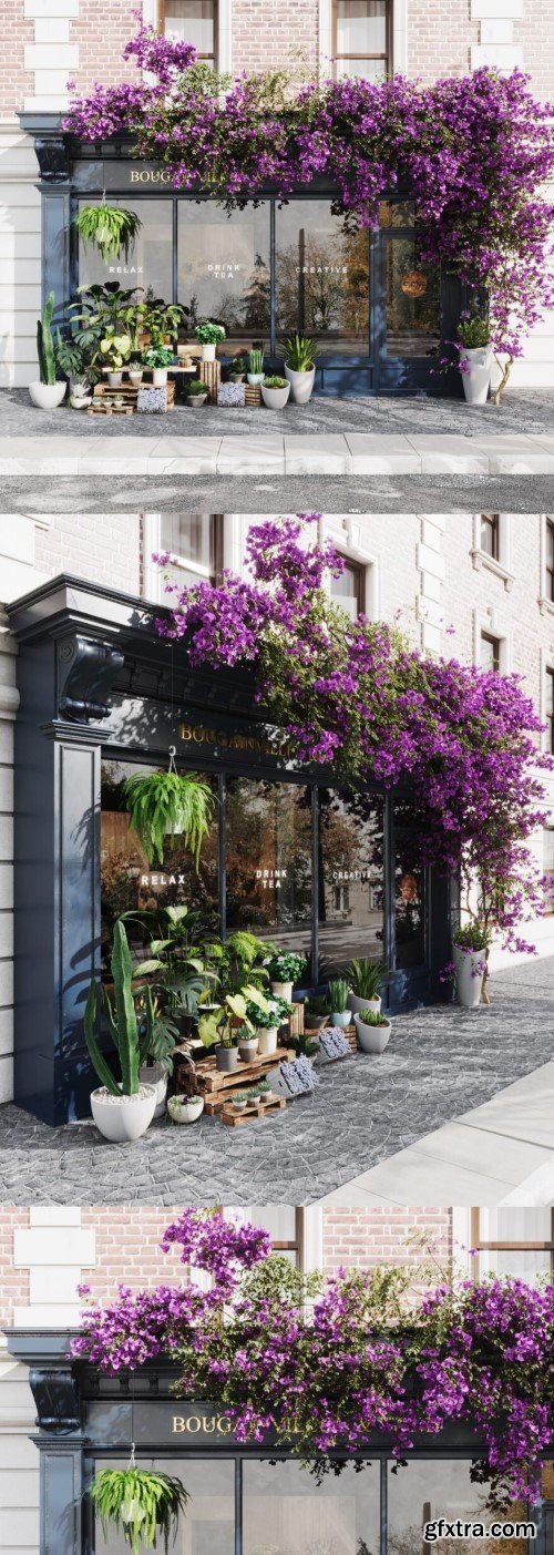 Exteriors Flora Store