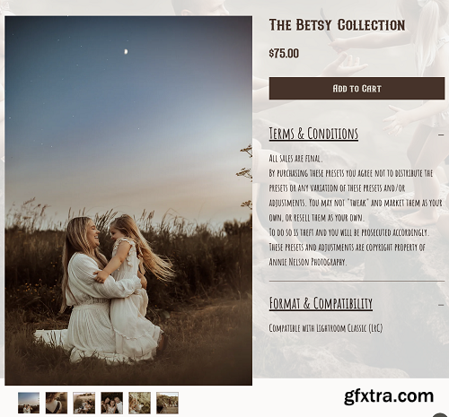 Annie Nelson - The Betsy Collections Lightroom Preset