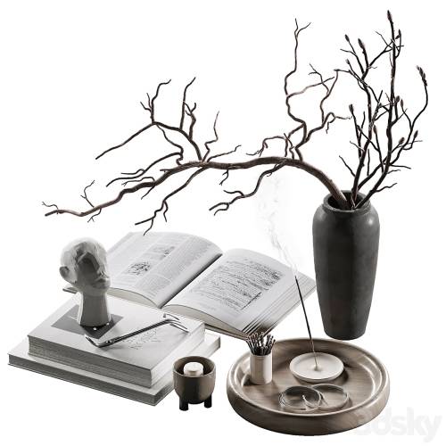 '3dsky Pro - Decorative set for coffee table 47'