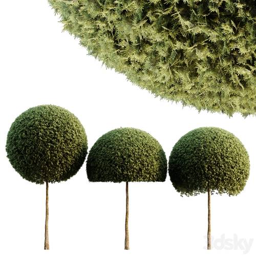 '3dsky Pro - Spherical tree03'