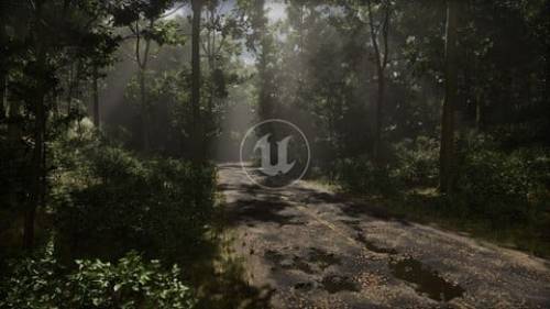 'Udemy - Megascans Scene - Lost Road'