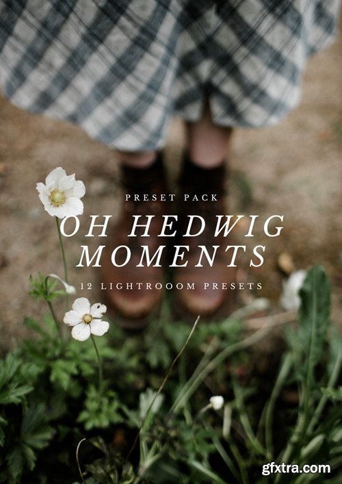 Oh Hedwig Moments - Lightroom Presets