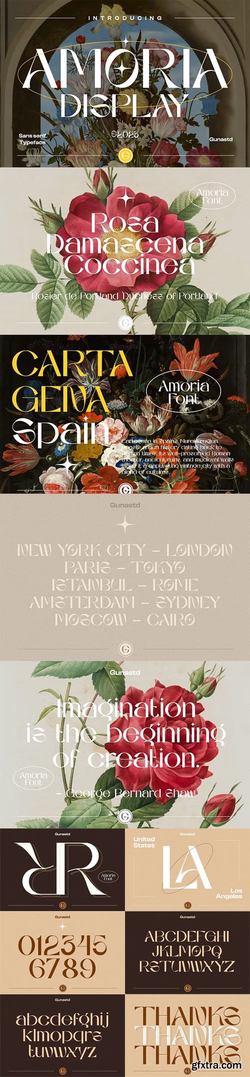 AMORIA - Display Sans Serif Font