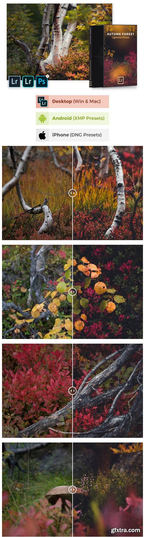 Autumn Forest - Mobile & Desktop Lightroom Presets Pack