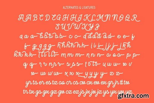 CreativeMarket - Slightly Famous Monoline Script Font